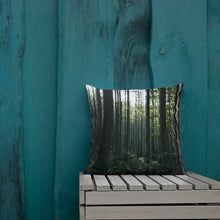 Load image into Gallery viewer, Premium Pillow