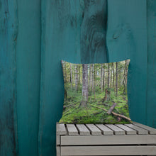 Load image into Gallery viewer, Premium Pillow