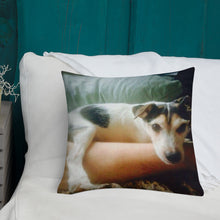 Load image into Gallery viewer, Premium Pillow