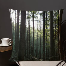 Load image into Gallery viewer, Premium Pillow