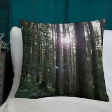 Load image into Gallery viewer, Premium Pillow