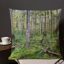 Load image into Gallery viewer, Premium Pillow