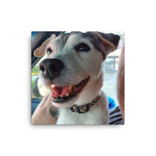 Load image into Gallery viewer, Canvas