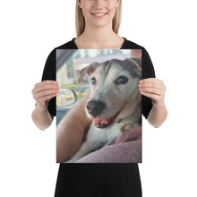 Load image into Gallery viewer, Canvas