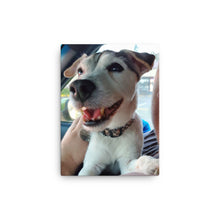 Load image into Gallery viewer, Canvas