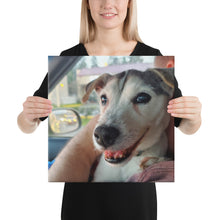 Load image into Gallery viewer, Canvas