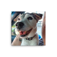 Load image into Gallery viewer, Canvas