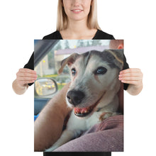 Load image into Gallery viewer, Canvas