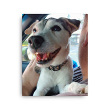 Load image into Gallery viewer, Canvas