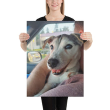 Load image into Gallery viewer, Canvas