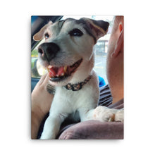 Load image into Gallery viewer, Canvas