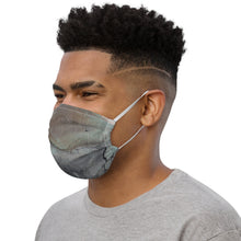 Load image into Gallery viewer, Premium face mask