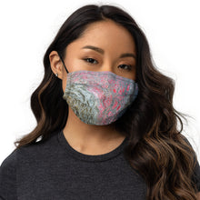 Load image into Gallery viewer, Premium face mask