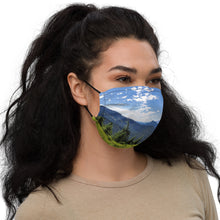 Load image into Gallery viewer, Premium face mask