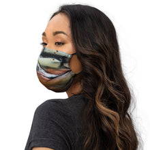 Load image into Gallery viewer, Premium face mask