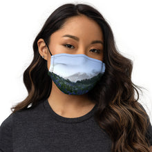 Load image into Gallery viewer, Premium face mask