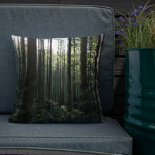 Load image into Gallery viewer, Premium Pillow
