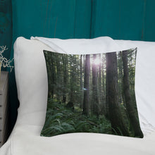 Load image into Gallery viewer, Premium Pillow
