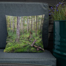 Load image into Gallery viewer, Premium Pillow
