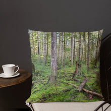 Load image into Gallery viewer, Premium Pillow
