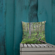 Load image into Gallery viewer, Premium Pillow
