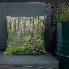 Load image into Gallery viewer, Premium Pillow
