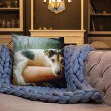 Load image into Gallery viewer, Premium Pillow
