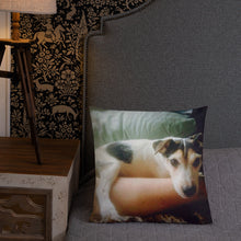 Load image into Gallery viewer, Premium Pillow
