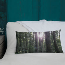 Load image into Gallery viewer, Premium Pillow
