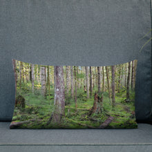 Load image into Gallery viewer, Premium Pillow
