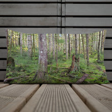 Load image into Gallery viewer, Premium Pillow
