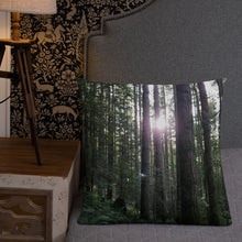 Load image into Gallery viewer, Premium Pillow
