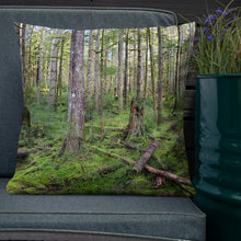 Load image into Gallery viewer, Premium Pillow
