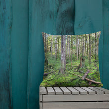 Load image into Gallery viewer, Premium Pillow
