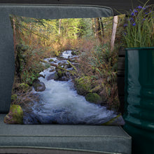 Load image into Gallery viewer, Premium Pillow
