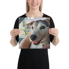 Load image into Gallery viewer, Canvas
