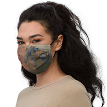 Load image into Gallery viewer, Premium face mask
