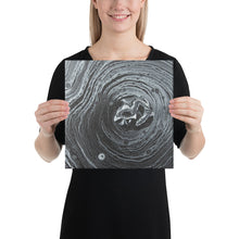 Load image into Gallery viewer, Art Printed on Canvas - Variety of Sizes
