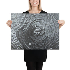 Art Printed on Canvas - Variety of Sizes