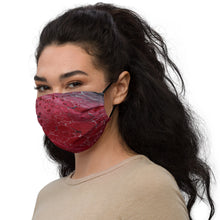 Load image into Gallery viewer, Premium face mask
