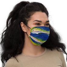 Load image into Gallery viewer, Premium face mask
