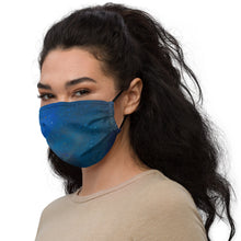 Load image into Gallery viewer, Premium face mask
