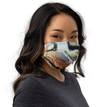 Load image into Gallery viewer, Premium face mask

