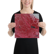 Load image into Gallery viewer, Art Printed on Canvas - Variety of Sizes
