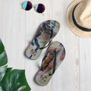 Flip-Flops