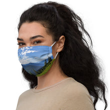 Load image into Gallery viewer, Premium face mask
